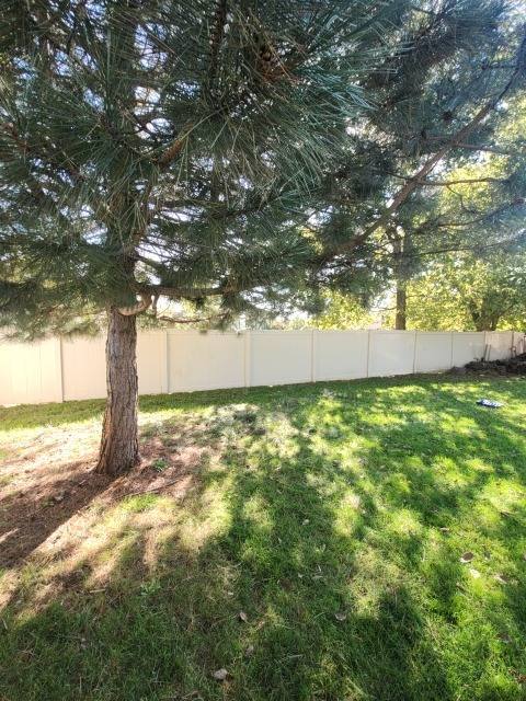 Tree Trimming in Troy by Timber and Turf