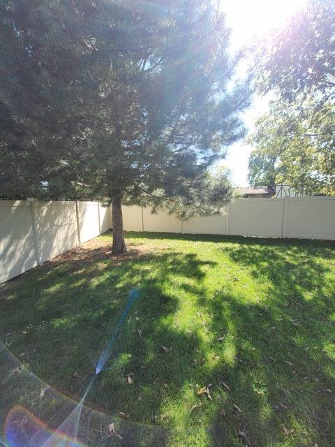 Tree Trimming — additional photo