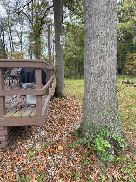 Tree trunk beside residential deck with visible damage to bark in Wapakoneta